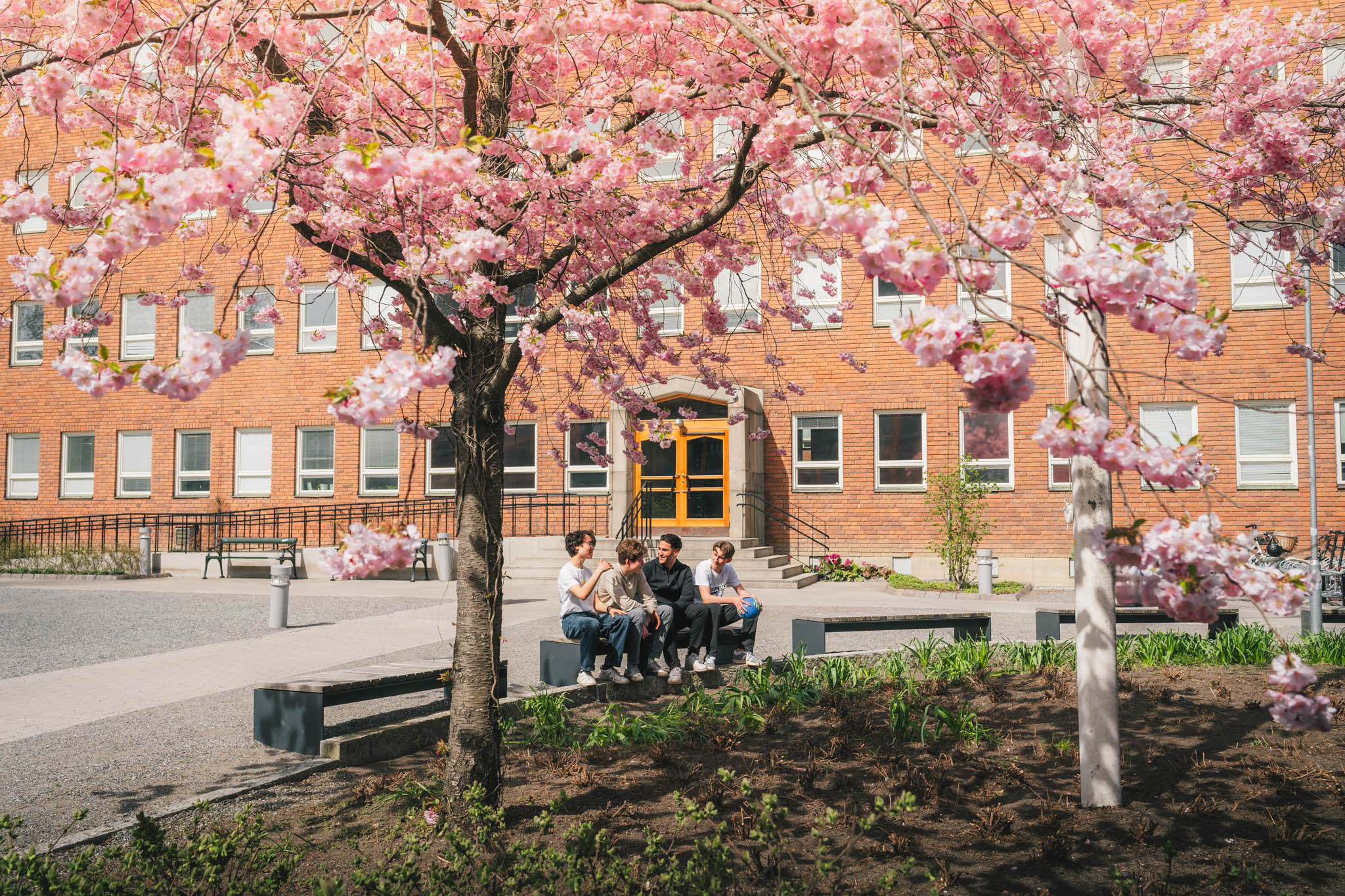 fyra killer sitter på bänk utanför skola