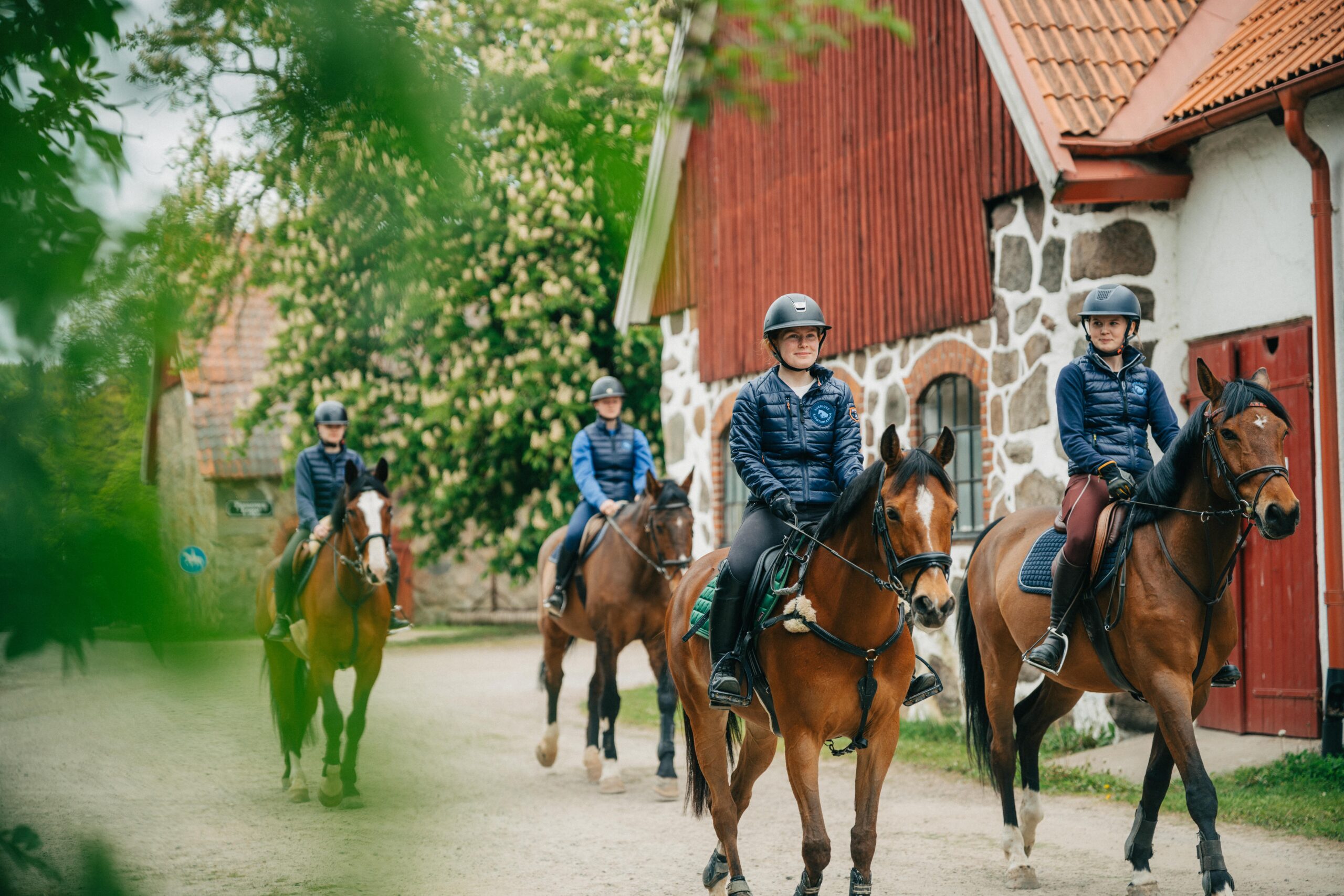 4 ungdomar rider varsin häst